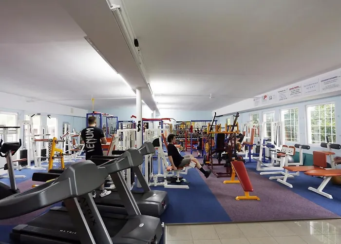 Hotel Na Knížecí Husinec Husinec (Prachatice)